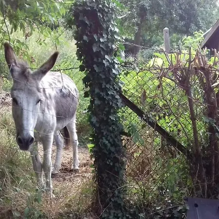 Holiday home De Campagne